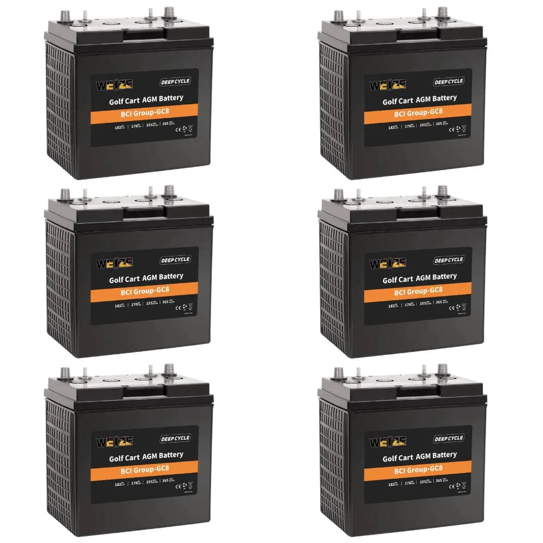 WEIZE 8V 182AH BCI Group GC8 AGM Golf Cart Battery