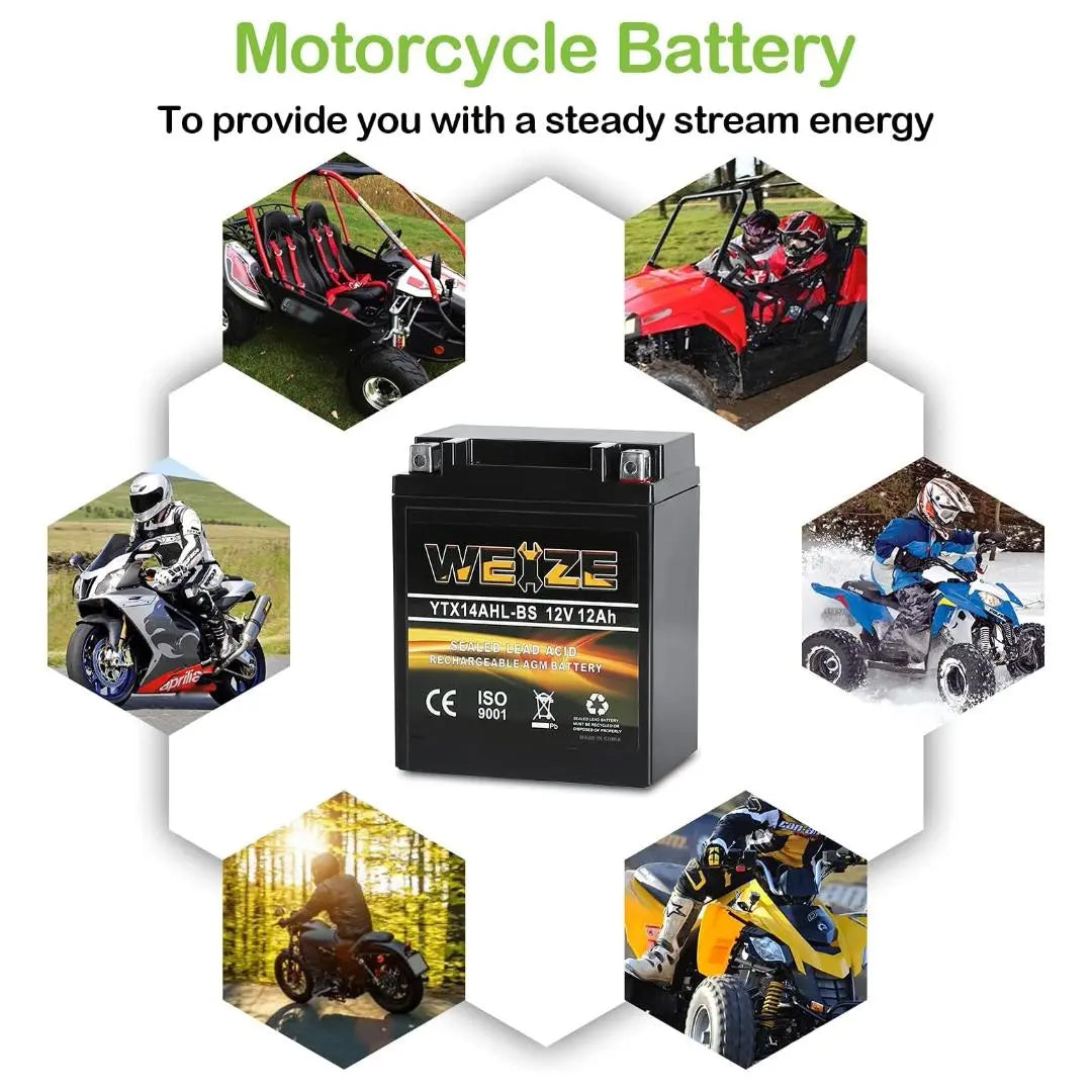 WEIZE YTX14AHL-BS 12V 12Ah High Performance-Rechargeable-Sealed Motorcycle Battery Compatible With Polaris Scrambler, Sportsman 90, Honda Scooters NQ50 Spree,Kawasaki 110 KLX110 Blue