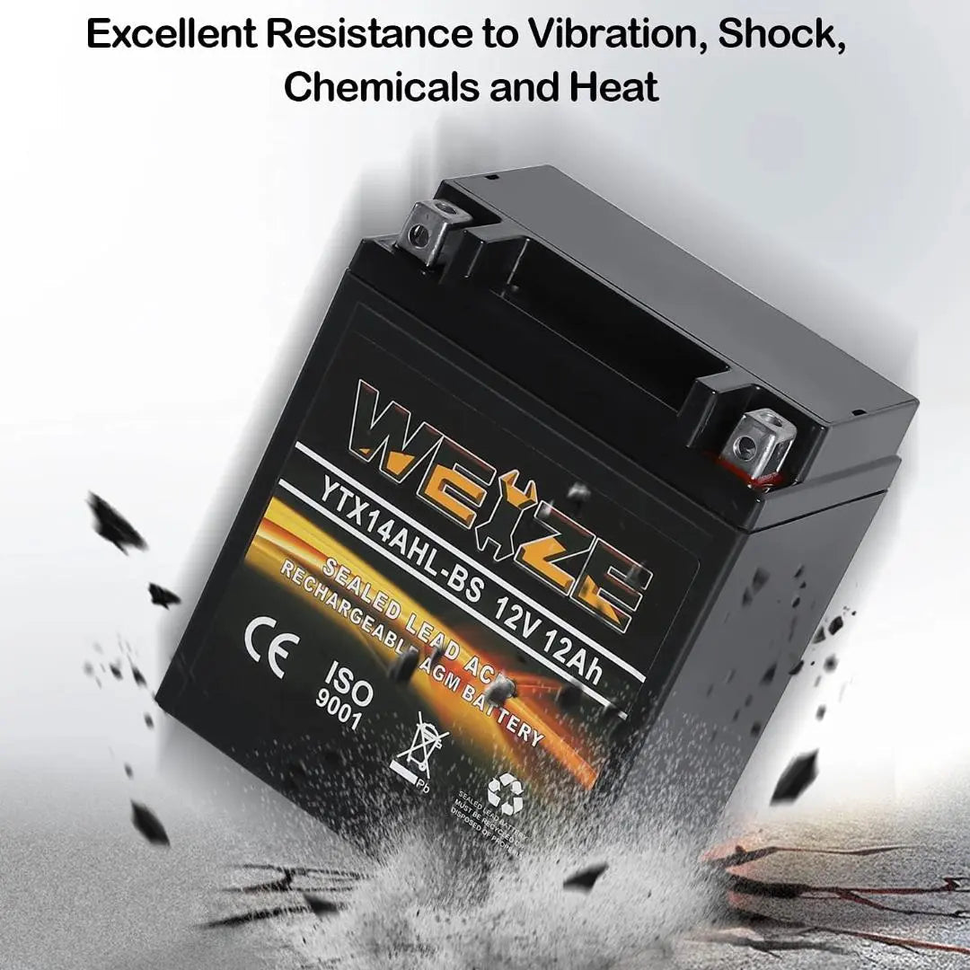 WEIZE YTX14AHL-BS 12V 12Ah High Performance-Rechargeable-Sealed Motorcycle Battery Compatible With Polaris Scrambler, Sportsman 90, Honda Scooters NQ50 Spree,Kawasaki 110 KLX110 Blue