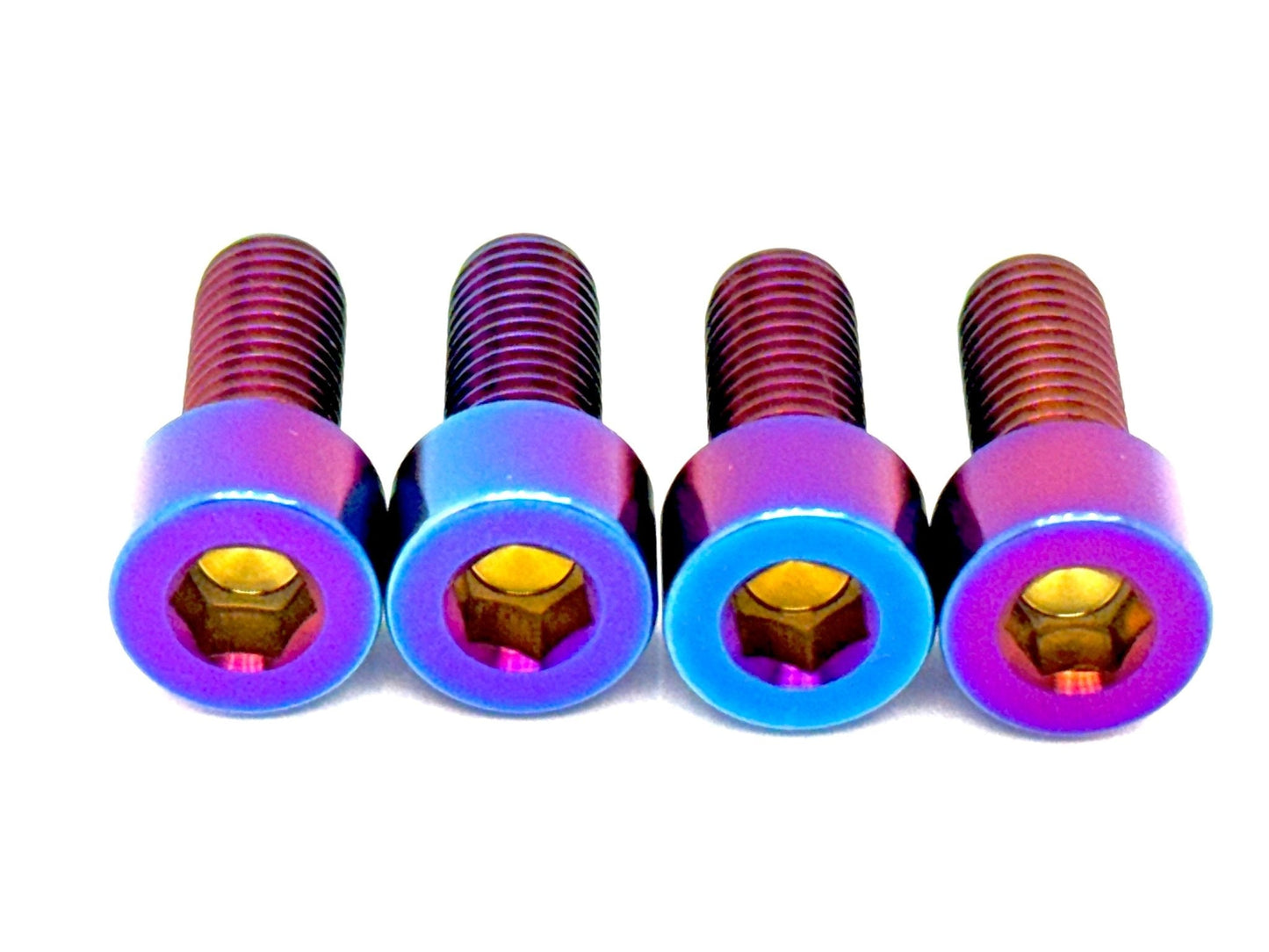 Titanium Bash Guard/ Skid Plate Bolts - Surron LBX and Segway (Set of 4)