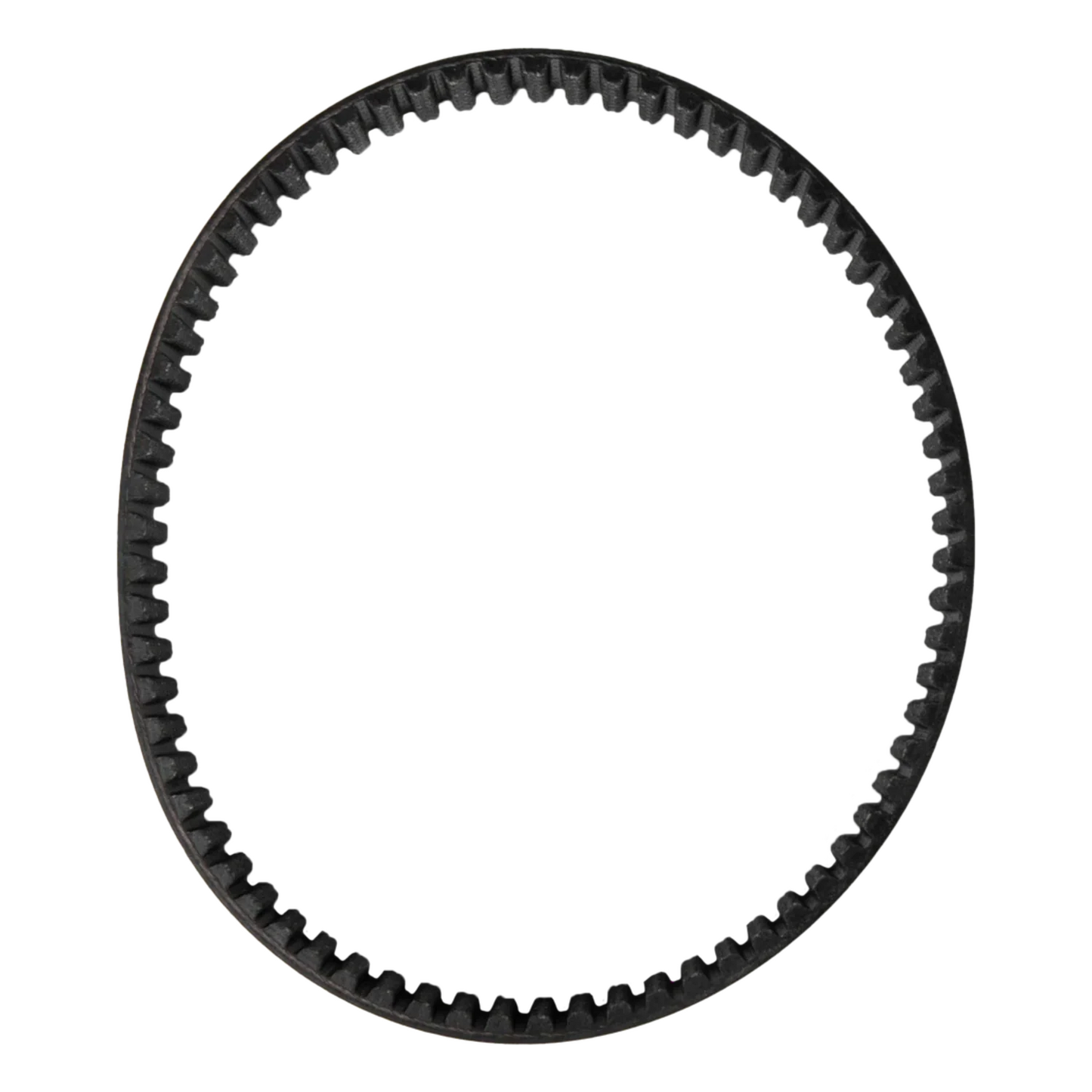 DAYCO Primary Drive Belt