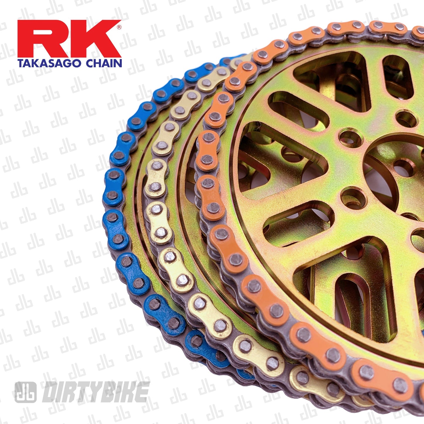 Primary Belt to Chain Conversion Kit | 219 RK Sealed O-Ring |  E Ride Pro SR