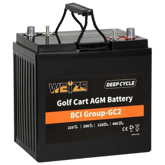 WEIZE 6V 210Ah BCI Group GC2 AGM Golf Cart Battery