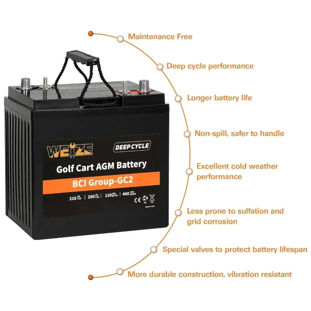 WEIZE 6V 210Ah BCI Group GC2 AGM Golf Cart Battery