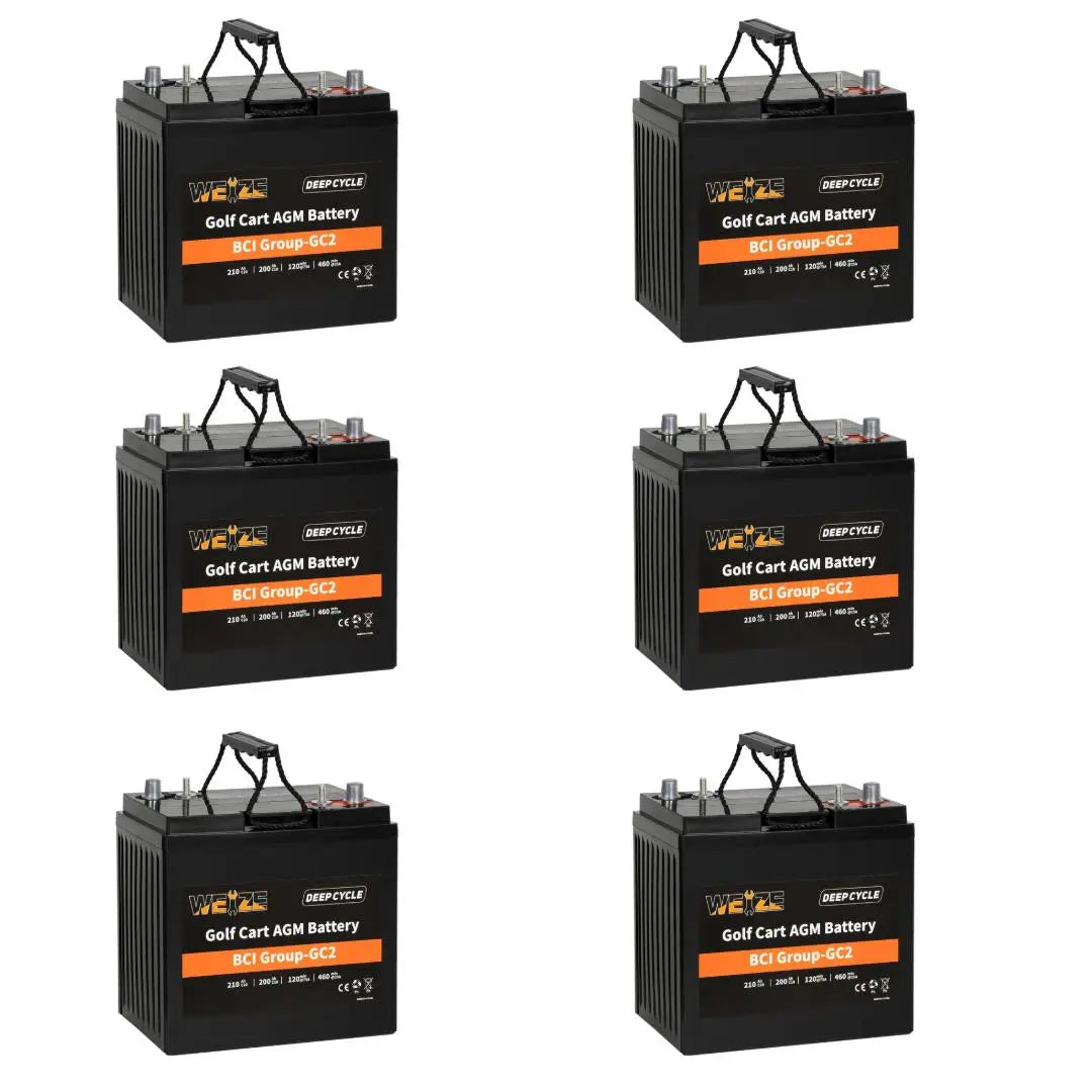 WEIZE 6V 210Ah BCI Group GC2 AGM Golf Cart Battery