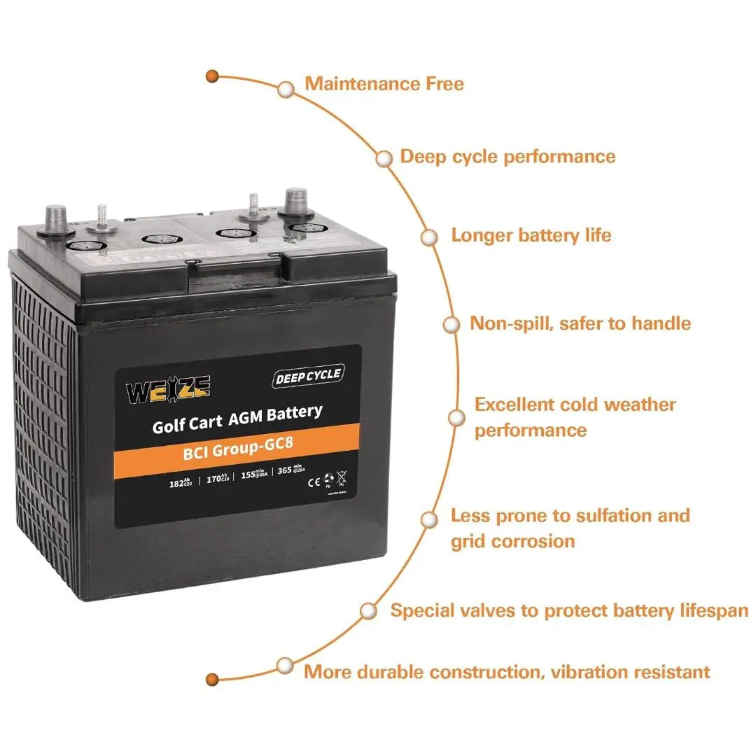 WEIZE 8V 182AH BCI Group GC8 AGM Golf Cart Battery