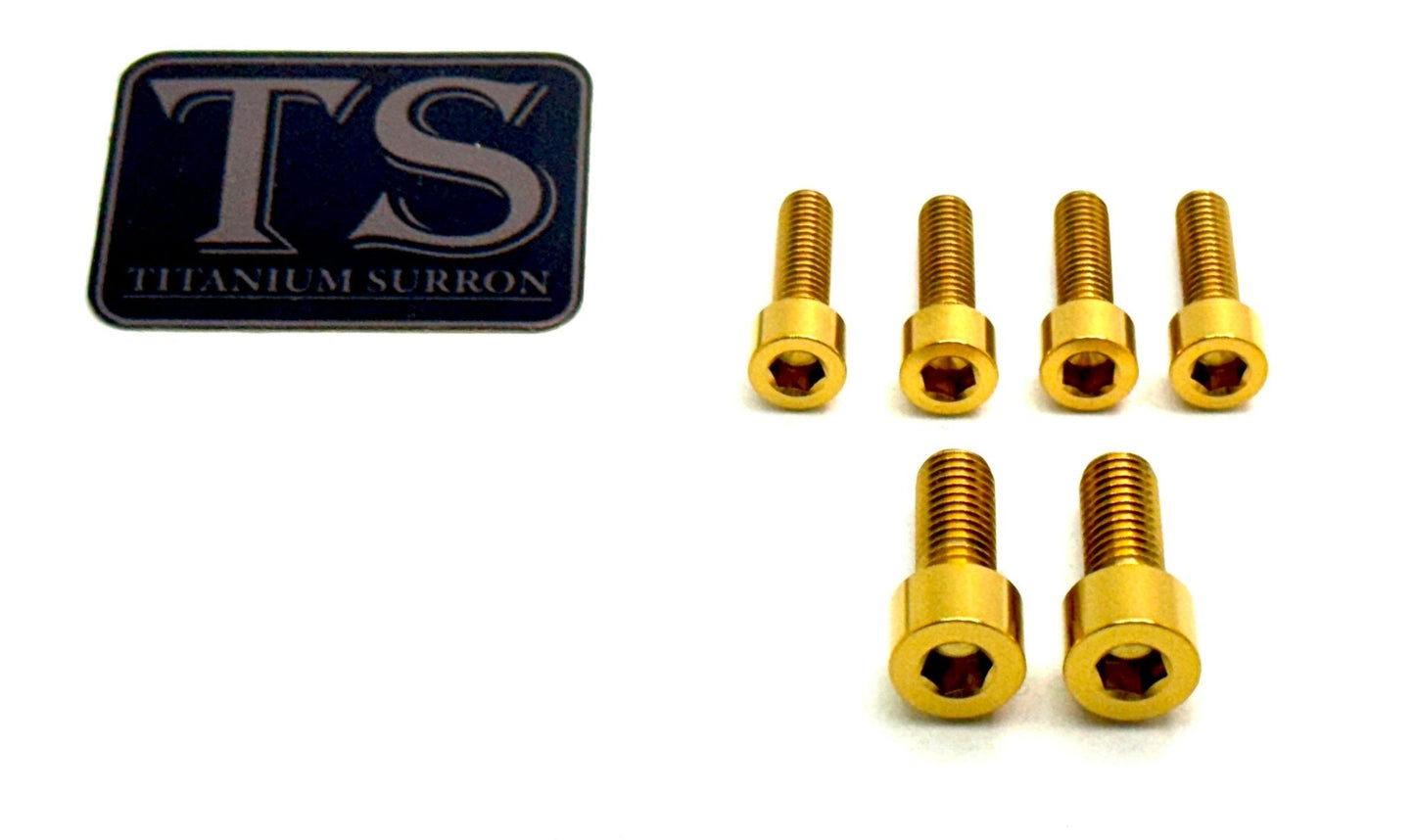 E-Ride Pro SS / S Titanium Stem Bolt Kit