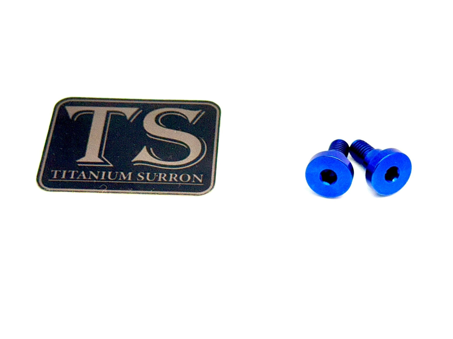 Titanium Battery Lid Bolts - E-Ride Pro -  (Two Pcs)