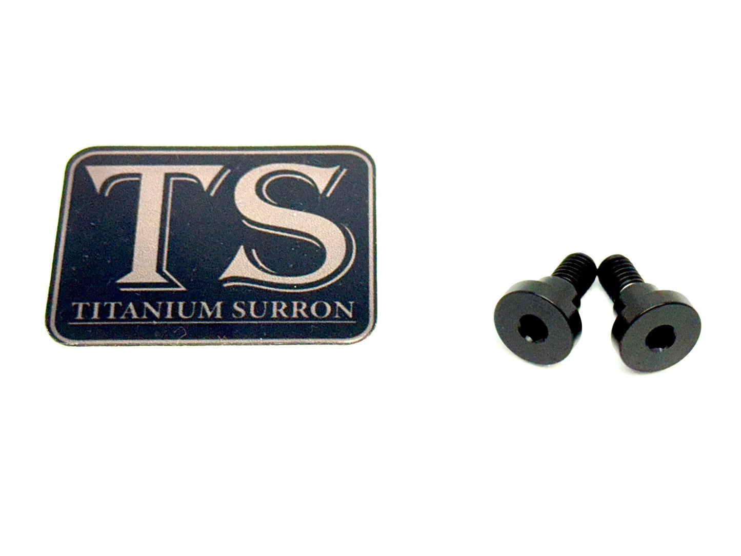 Titanium Battery Lid Bolts - E-Ride Pro -  (Two Pcs)