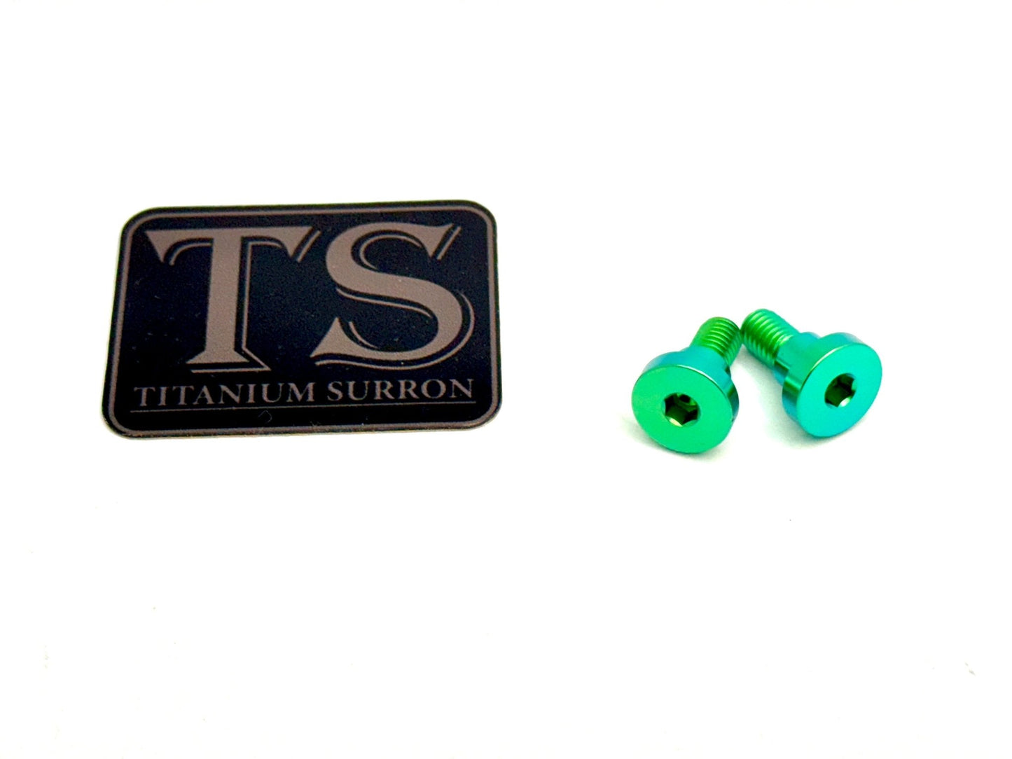 Titanium Battery Lid Bolts - E-Ride Pro -  (Two Pcs)