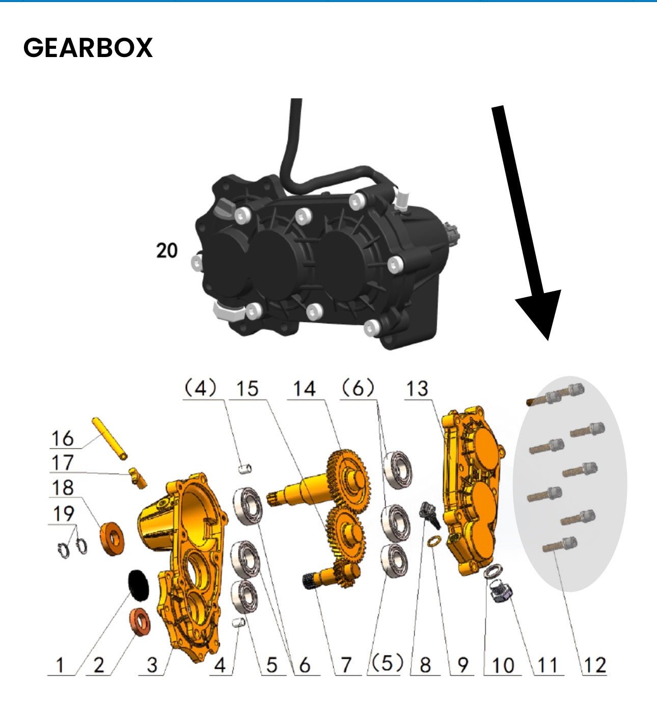 Talaria Sting R MX4 8 Piece Custom Gearbox Titanium Bolt Kit