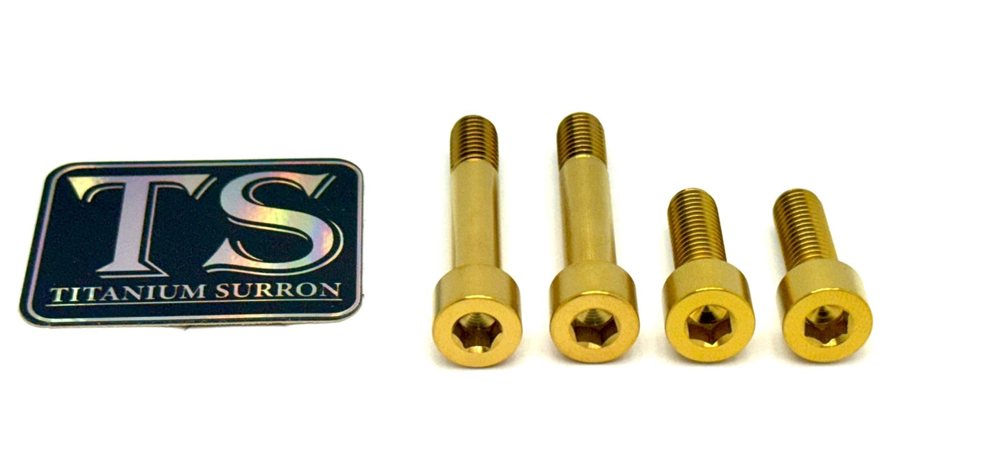 Titanium Motor Bolts - E-Ride Pro