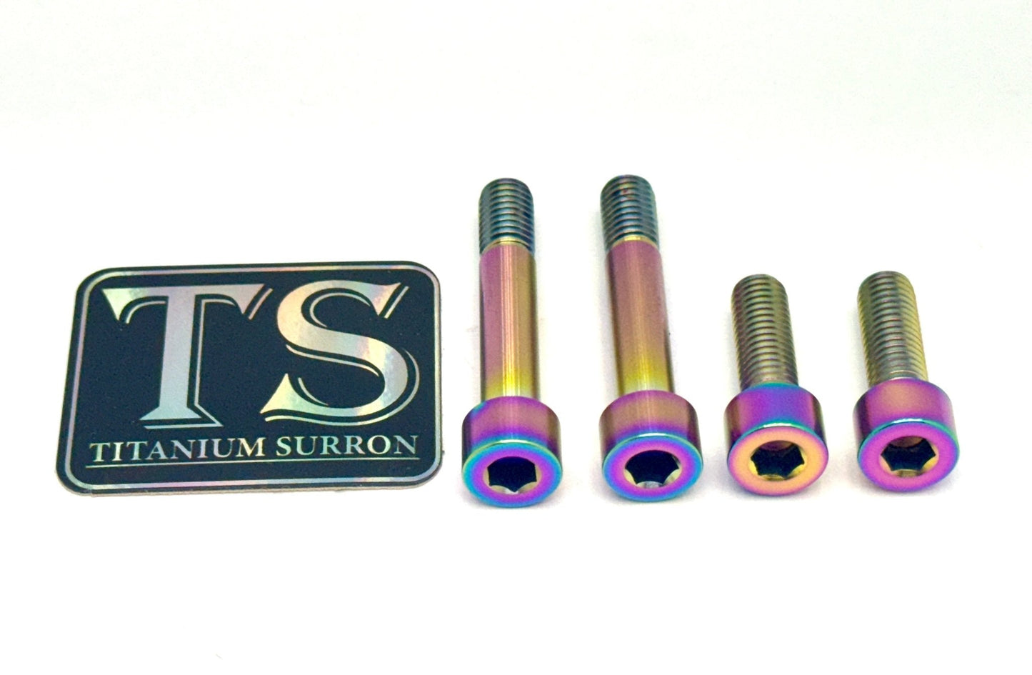 Titanium Motor Bolts - E-Ride Pro