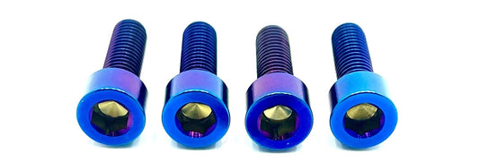 Ultra Bee Fork Titanium Axle Pinch Bolts